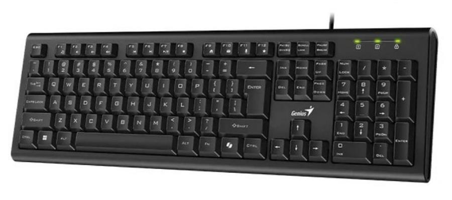 TECLADO GENIUS KB-113 USB
